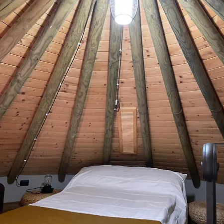 Noce Melano Montattico